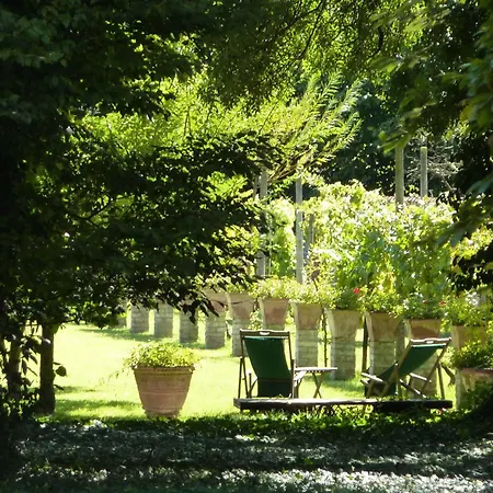 Hotel Alberti Dolo