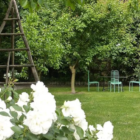 Alberti Hotel 3*
